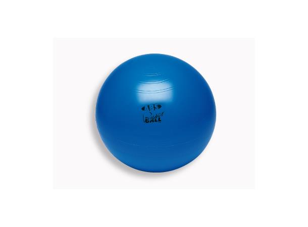 Togu® Powerball ABS® 55 cm